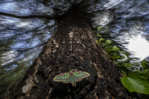 Concurso Internacional de fotografía de Montaña - Naturaleza y Aventura – Memorial María Luisa