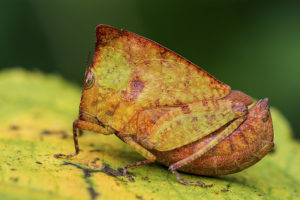 Concurso Internacional de fotografía de Montaña - Naturaleza y Aventura – Memorial María Luisa