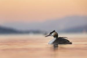 Concurso Internacional de fotografía de Montaña - Naturaleza y Aventura – Memorial María Luisa