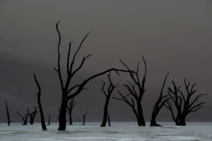 Concurso Internacional de fotografía de Montaña - Naturaleza y Aventura – Memorial María Luisa