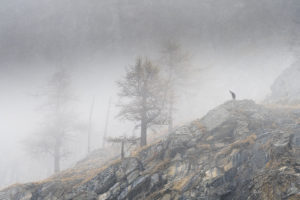 Concurso Internacional de fotografía de Montaña - Naturaleza y Aventura – Memorial María Luisa