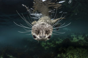 Concurso Internacional de fotografía de Montaña - Naturaleza y Aventura – Memorial María Luisa