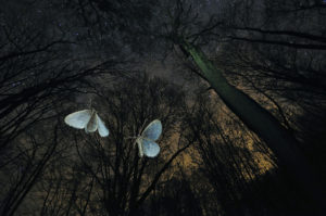 Concurso Internacional de fotografía de Montaña - Naturaleza y Aventura – Memorial María Luisa