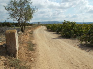 CAMINOS DEL PENEDÉS