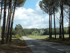 CARRETERA COMARCAL POR LES GAVARRES