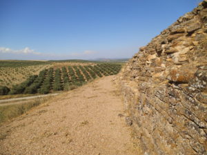 MURALLAS DE CASTULO