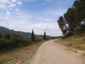 PAISAJE EN LA ETAPA DE ALMANSA A MOIXENT