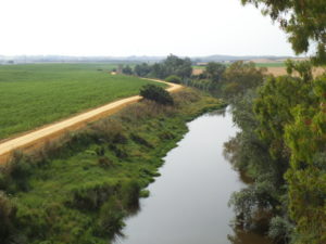 RIBERA DEL RÍO GUADAIRA