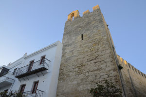 Torre Mayorazgo